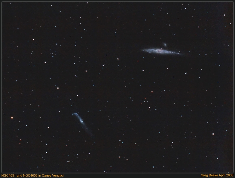 ngc4631_ngc4656_2008_04_23.jpg - Title: NGC 4631 and NGC 4656 in Canes Venatici By: Greg Beeke Telescope: TMB152 with AP focal reducer Filters: N/A Camera: Modified Canon 300D Mount: Aim Controls EQ2 Guider: Atik 16IC Exposure: 31x480s,  Notes: These irregularly shaped galaxies form a group.  In fact its thought that they have been or are interacting gravitationally.  They are often referred to as the Whale and Hockey Stick galaxies.