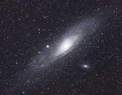 M31