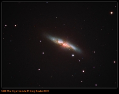 M82