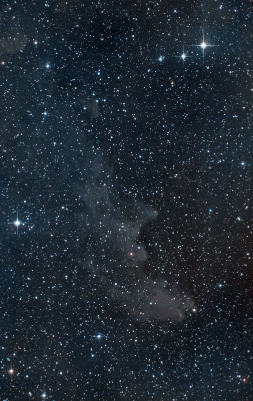 IC2118.jpg - Title: IC 2118 Witch Head By: Greg Beeke 