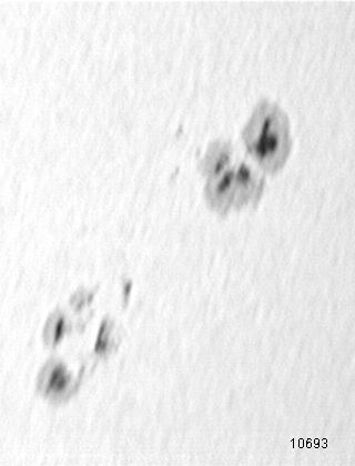 Sunspot 10693 on 041104