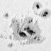 Sunspot 10486