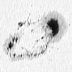 Sunspot 10488