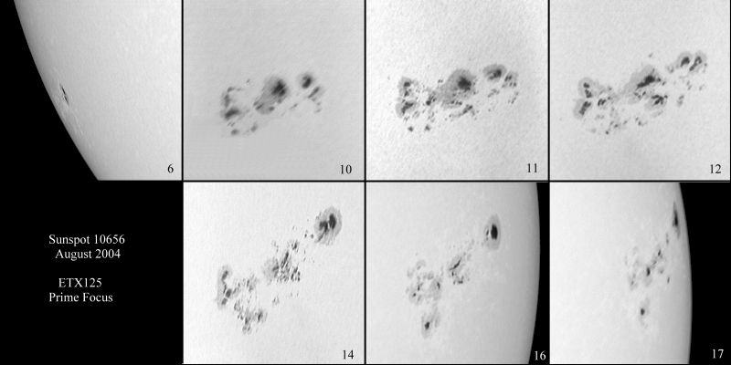 Sunspot10656