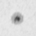 Sunspots 10788 on 050709