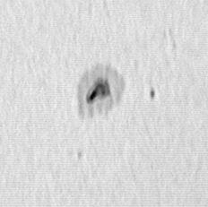 Sunspot 10794 on 050808