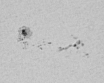 Sunspot 10800 on 050823